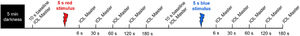 Protocol for axial length measurements. Participants were given 5 min of dark adaptation before axial length and pupil measurements. Axial length measurements were obtained during 10 s pre-stimulus baseline period, and then 6 s, 30 s, 60 s, 120 s and 180 s after 5 s red stimulation. After another 10 s baseline, the same protocol was repeated for 5 s blue stimulation.