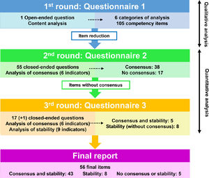 Schematic representation of the successive rounds used in the Delphi study.