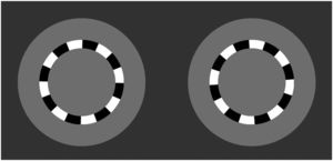 The “Dyop” visual acuity target. 4-6 One of the targets is rotating, while the other is stationary. The observer is required to indicate which of the targets is spinning (right or left), and the direction of rotation (clockwise or counter-clockwise).