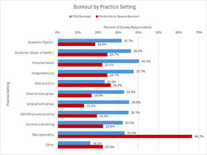 Prevalence of mild and moderate/severe burnout by practice setting. Figure 2 Legend. Prevalence of self-reported mild and moderate/severe burnout for respondents by practice setting. Blue bars represent rates of mild burnout and red bars represent rates of moderate/severe burnout. Percentages of each are provided by type of practice setting.