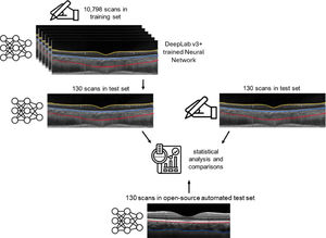 Protocol. Manually segmented scans (N = 10,798) were input as the training set to develop the convolutional neural network. A test set (N = 130) was then subjected to both manual and in-house automated segmentation, as well as an open-source automatic segmentation program, the Choroidalyzer, and compared to the manual and in-house methods.