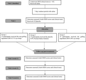Flowchart of the current study.