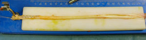 Se observa el tendón ST en la tabla de preparación de injertos con la sutura tipo Krackow en su extremo distal. Se realiza la medición de longitud en cm.