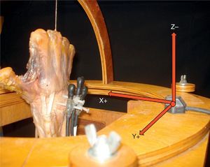Disposición de los ejes XYZ en la pieza anatómica una vez colocada en el soporte. Podemos apreciar los sensores insertados en el dorso de los huesos a estudiar y el transmisor en el soporte.