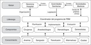 Aspectos estructurales y organizativos en el desarrollo e implementación de un programa de Patient Blood Management.