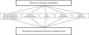 Concepto multimodal de rehabilitación precoz. Fuente: Kehlet y Dahl11.