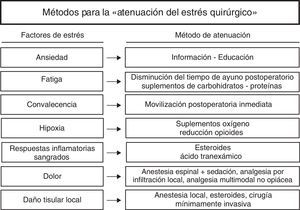 Medidas para atenuar el estrés quirúrgico. Fuente: Kehlet y Wilmore9.