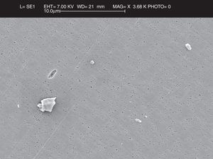 Partículas de polietileno más pequeñas se encuentran en las imágenes del microscopio electrónico de barrido a 20.000×. Asimismo, se puede observar la calidad de la muestra apreciando la correcta digestión y filtración de la misma al mostrarse una imagen nítida y los poros del filtro bien visibles.