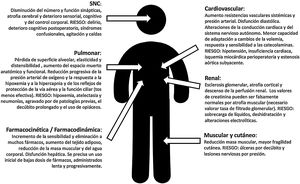 Modificaciones fisiológicas durante el envejecimiento.