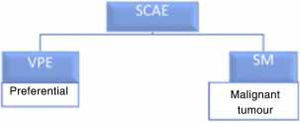 Specific rapid referral pathway for preferential pathology and with suspected malignancy. SCAE: request for an appointment in specialized care; SM: suspicion of malignancy; VPE: preferential specialist assessment.