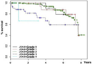 Survival without progression of osteoarthritis according to initial JOA grade.