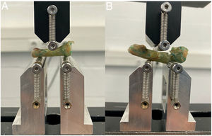 Images of the device designed to apply force in flexion at 3 points. (A) Intact phalanx prior to application of force and (B) phalanx with deformity secondary to the force applied by the device.