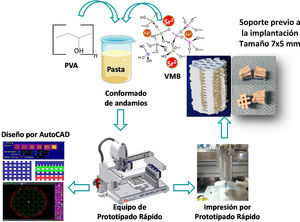 Esquema de la síntesis de soportes basados en VMB. Obsérvese que tras la mezcla y conformado de los andamios se realiza el diseño del soporte mediante AutoCAD (equipo de prototipado rápido impresora 3D BioplotterTM [EnvisionTEC, Gladbeck, Alemania]) para su posterior impresión por prototipado rápido hasta la obtención de los soportes que se implantaron.