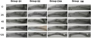 Serial radiological controls of the different groups at 0, 2, 4, 6, and 12 weeks postoperatively. Note the pattern of bone formation in the different study groups, highlighting the lack of bone formation in the G1 group, where a large central area without bone filler can be seen.