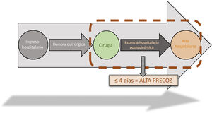 Esquema del concepto de alta precoz.