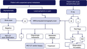Diagram of diagnostic algorithm for spinal metastases. Warning signs or red flags include: 1. Suspicion of tumour involvement; 2. Suspicion of infection; 3. Suspicion of fracture; 4. Pain with inflammatory rhythm; 5. Cauda equina syndrome, progressive or severe neurological deficit; 6. Low back pain with very severe pain and progressing intensity; and 7. Subacute or chronic low back pain with radicular irradiation with treatment failure.