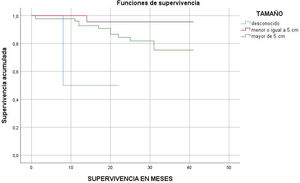 Análisis de supervivencia mediante curvas de Kaplan-Meier con prueba de log-rank con respecto al tamaño tumoral p < 0,05.