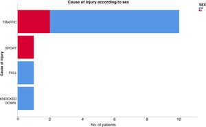 Distribution of the causes of the SCIWORA injury according to sex.