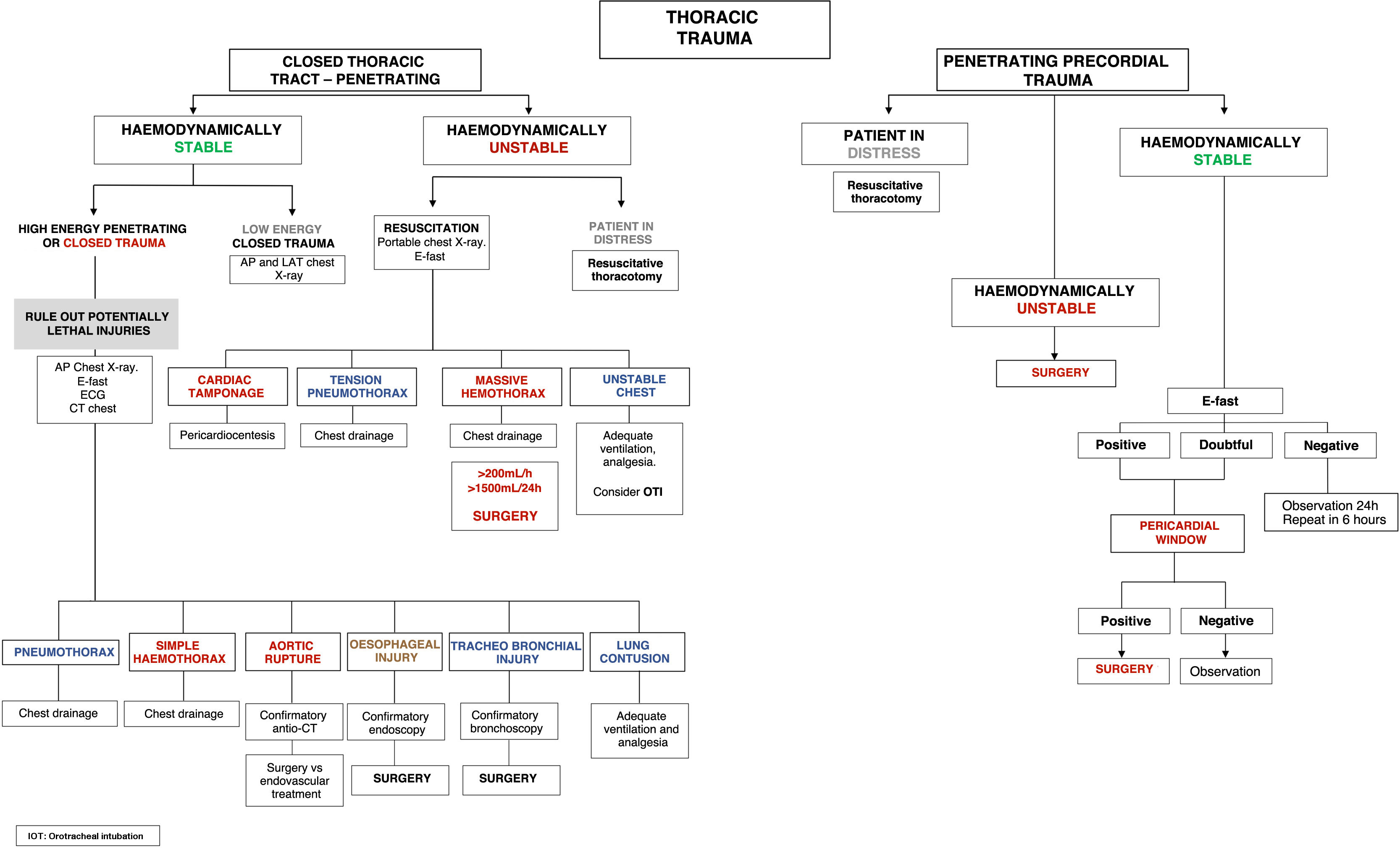 Approach and management of patients injured by bullfighting trauma ...