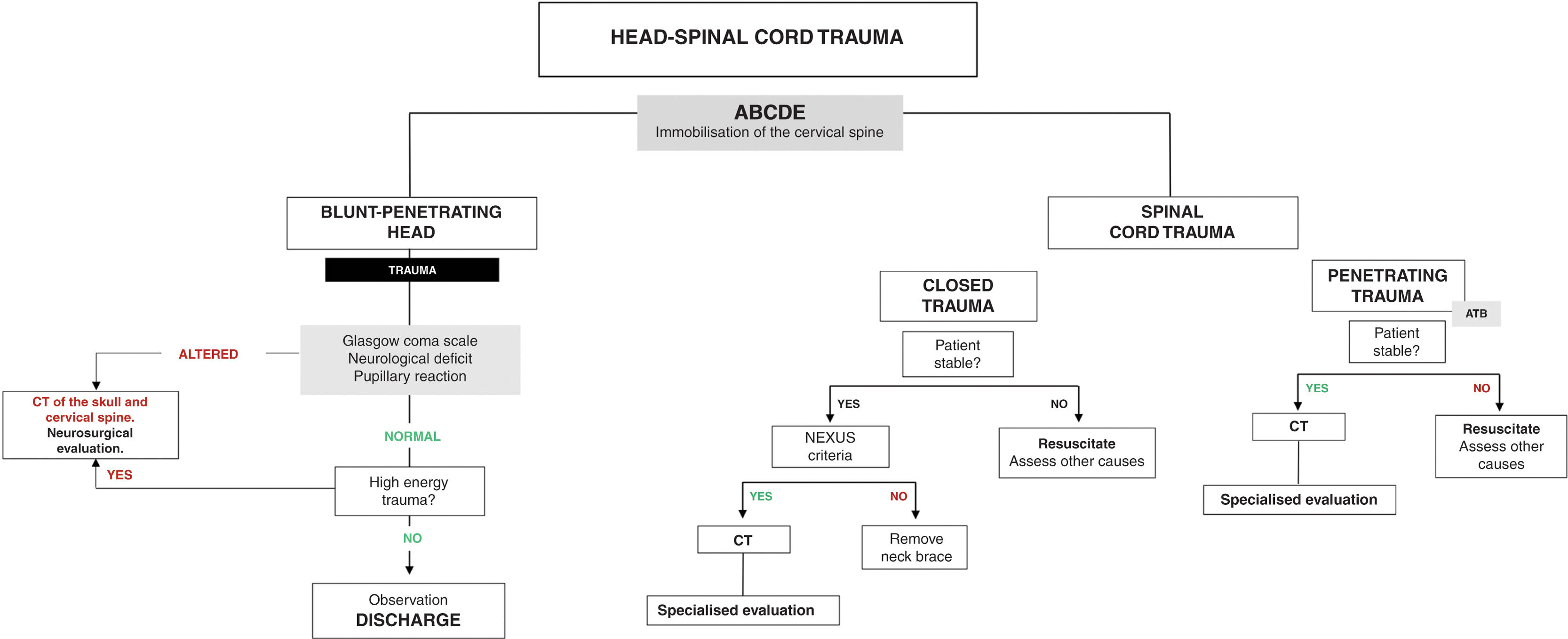 Adult Head Injury Algorithm Approach and management of patients injured by bullfighting trauma ...