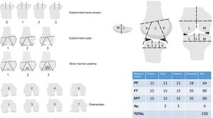 Modified WORMS assessment scale using only the aspects related to the subchondral bone (WORMSsc). Aspects related to the left side (bone erosion, bone oedema, presence of cysts, and appearance of osteophytes) are measured according to the drawings for each item, scoring each in the following areas of the knee: condyles (subdivided into anterior [A], central [C], and posterior [P] area), plateaus (subdivided into anterior [A], central [C], and posterior [P]), patellofemoral (medial [M] and lateral [L]), and tibial spines (S). The maximum possible scores are listed in the table below right. EFT: external femorotibial; IFT: internal femorotibial; PF: patellofemoral; Sp: spines.
