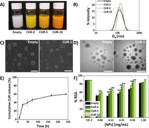 Characterisation of the NPs.5