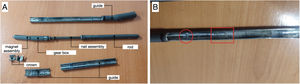 (A) First disassembly view after cutting with saw. (B) Longitudinal cut of the part. The circle marks the area of thread wear and the rectangle indicates chemical damage.