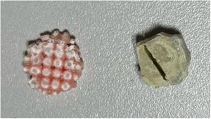 Fotografía de una pieza del modeloA (izquierda, impresión con resina) y modeloB (derecha, cemento) fabricadas con 2g de amoxicilina-clavulánico.