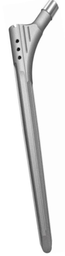 Vástago no cementado de fijación distal no modular.