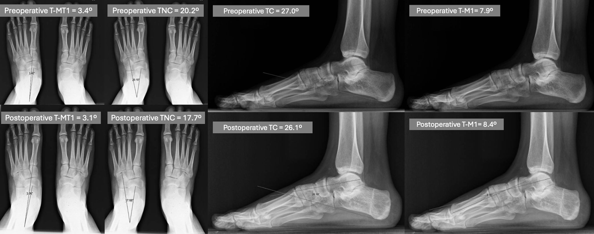 fig0015