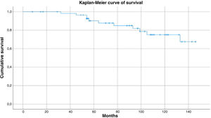 Kaplan–Meier curve of cumulative survival of CW-HTO measured according to the requirement for conversion to total knee arthroplasty.