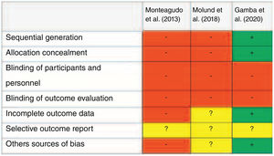 Bias risk analysis. +: low risk; ?: uncertain risk; −: high risk.