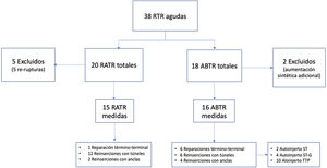 Distribución de los tipos de reparación y aumentación según el grupo.