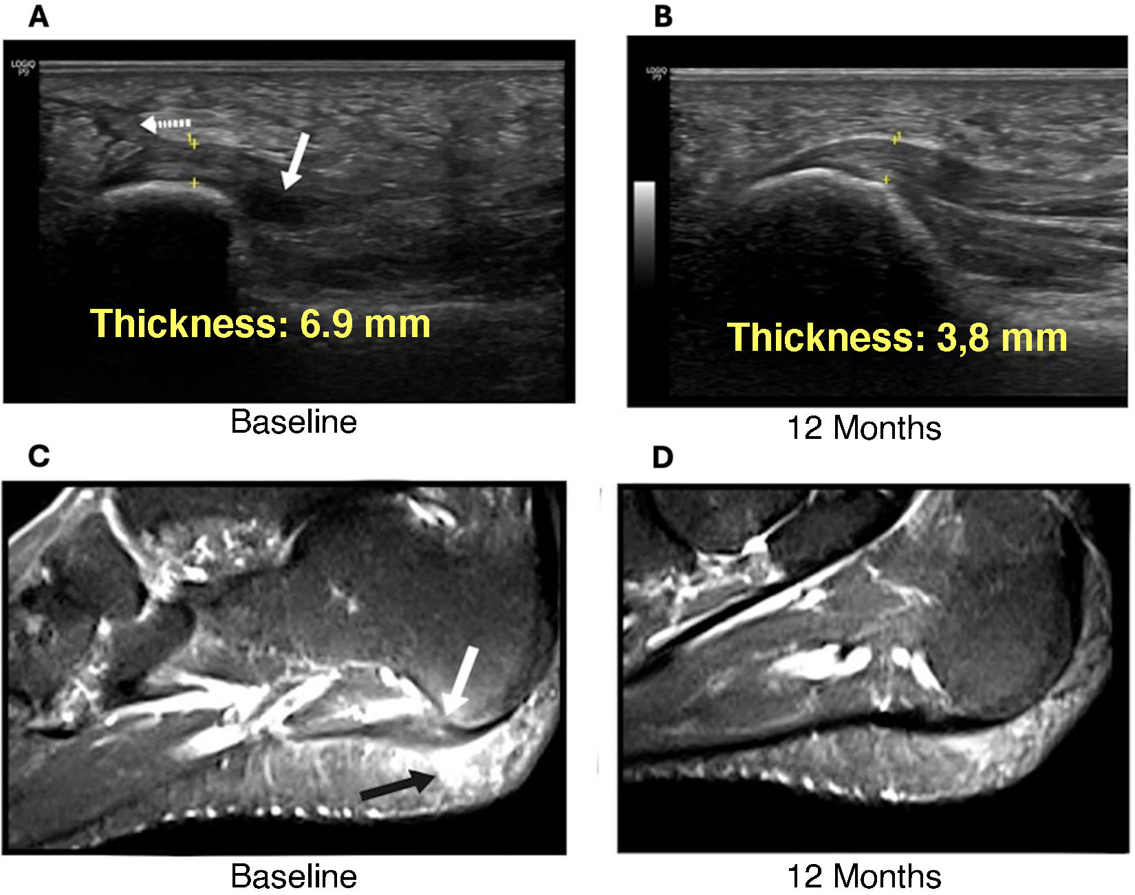 fig0015