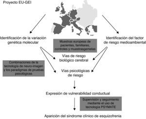 Proceso de ejecución del proyecto European Network of Schizophrenia Networks for the Study of Gene Environment. Interaccions (EU-GEI).