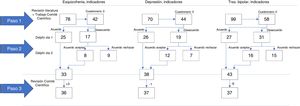 Resultados de la revisión bibliográfica, técnica Delphi y revisión por el comité científico.