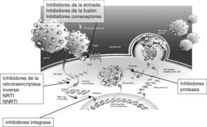Ciclo viral del VIH y los mecanismos de inhibición enzimática del tratamiento farmacológico (familias comercializadas).