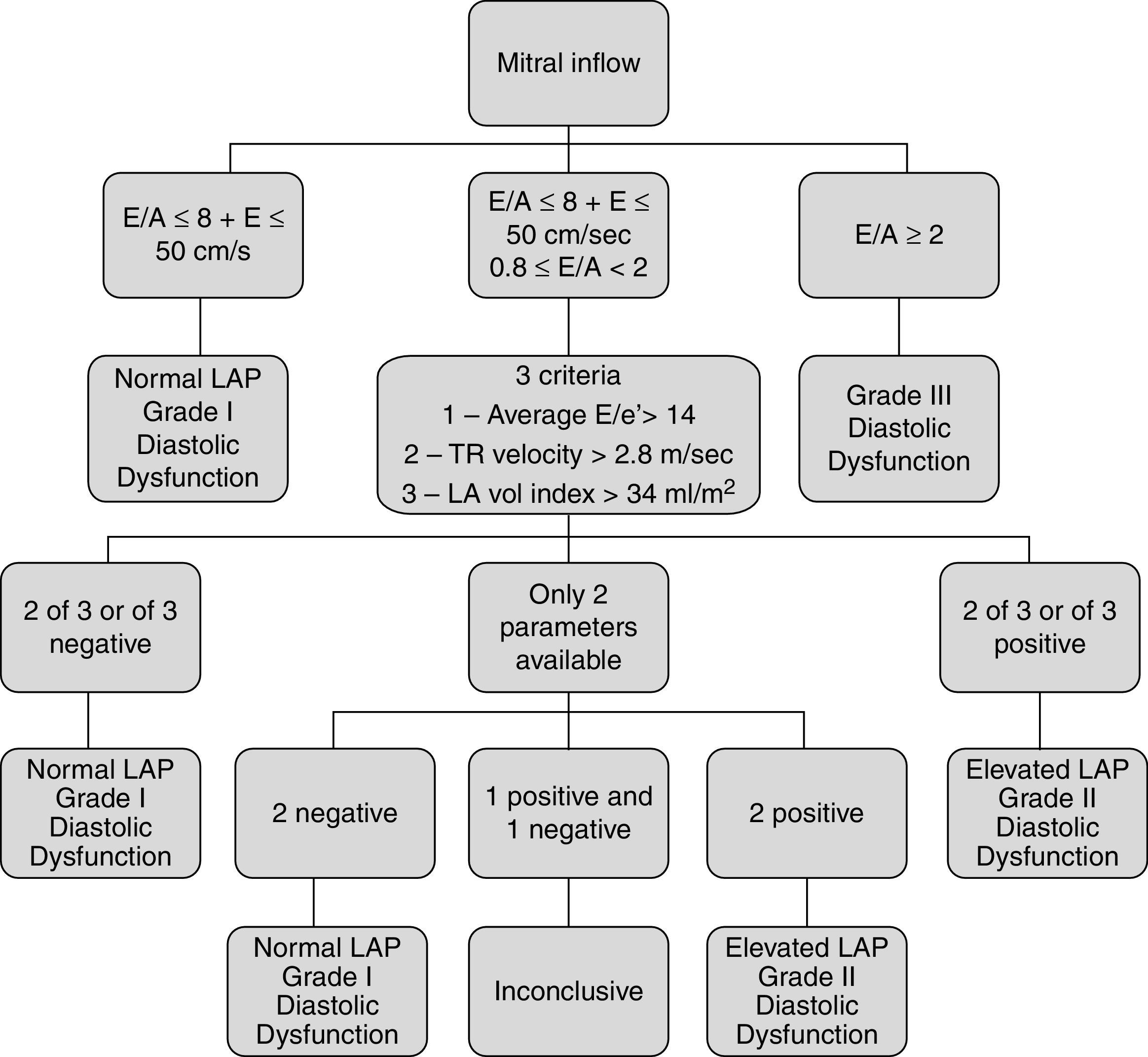 Diastolic dysfunction in hypertension | Hipertensión y Riesgo Vascular