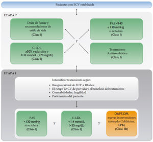 Algoritmo de objetivos terapéuticos y tratamiento farmacológico en pacientes con enfermedad vascular establecida Adaptada de: Visseren et al. Eur Heart J. 2021. ECV: enfermedad cardiovascular; CV: cardiovascular; DAPT: dual antiplatelet therapy; DPI: dual pathway inhibition; C-LDL: colesterol de lipoproteína de baja densidad; PAS: presión arterial sistólica.