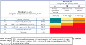 Riesgo relacionado con la enfermedad renal crónica según las categorías de filtrado glomerular y de albuminuria. Áreas en color verde: riesgo de referencia (no hay enfermedad renal si no hay otros marcadores definitorios); áreas en color amarillo: riesgo moderado; áreas en color naranja: riesgo alto; áreas en color rojo: riesgo muy alto. * La albuminuria se expresa como cociente albúmina/creatinina. Guías Kidney Disease: Improving Global Outcomes (KDIGO) sobre enfermedad renal crónica.