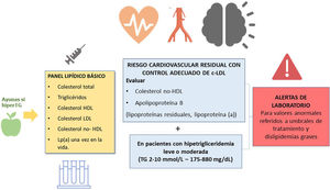 Recomendaciones básicas para el informe de perfil lipídico en laboratorios clínicos españoles.