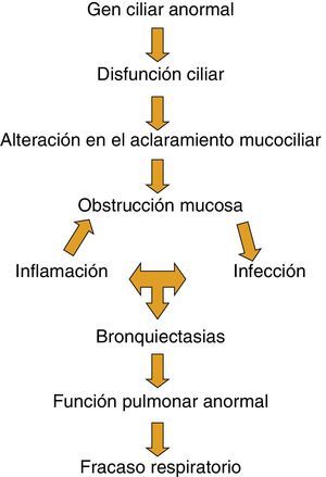 Etiopatogenia de la discinesia ciliar primaria.