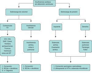 Etiología y tratamiento de la insuficiencia cardiaca sin disfunción ventricular. CIA: comunicación interauricular; CIV: comunicación interventricular; DAP: ductus arterioso persistente; EP: estenosis pulmonar; HTA: hipertensión arterial; IECA: inhibidores de la enzima conversiva de la angiotensina.