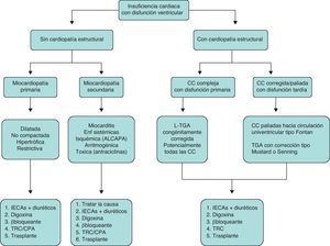 Etiología y tratamiento de la insuficiencia cardiaca con disfunción ventricular. CPA: células progenitoras autólogas; IECA: inhibidores de la enzima conversiva de la angiotensina; TGA: trasposición de grandes arterias; TRC: terapia de resincronización cardiaca.