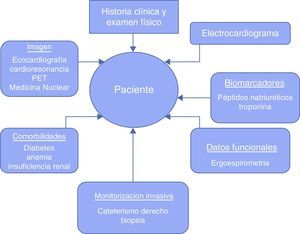 Definición fenotípica del paciente con insuficiencia cardiaca. Modificado de Januzzi6.