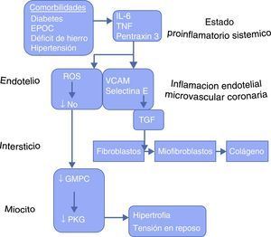 Las comorbilidades conducen a disfunción miocárdica y remodelado (comentado en el texto). EPOC: enfermedad pulmonar obstructiva crónica; GMPC: guanosina monofosfato; IL-6: interleucina 6; PKG: proteincinasa G; ROS: reactive oxygen especies; TGF: factor de crecimiento tisular; TNF: factor de necrosis tumoral; VCAM: moléculas de adhesión celular vascular.Modificado de Paulus y Tschöpe8.