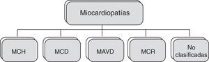 Clasificación clásica en grandes grupos de las miocardiopatías según un documento de posicionamiento de la Sociedad Europea de Cardiología publicado en 2008. MAVD: miocardiopatía arritmogénica del ventrículo derecho; MCD: miocardiopatía dilatada; MCH: miocardiopatía hipertrófica; MCR: miocardiopatía restrictiva. Fuente: Elliot et al.2