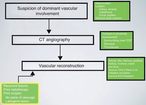 Algorithm for the management of soft tissue sarcomas in limbs with involvement of large vessels.