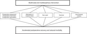 Multimodal model of early rehabilitation. Source: Kehlet and Dahl.11