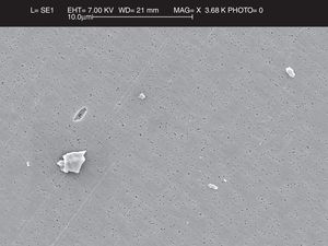 Smaller polyethylene particles are shown in the scanning electron microscope 20,000× images. The quality of the sample can also be seen, showing the correct digestion and filtration of the same, as the image is clear and the filter pores are clearly visible.